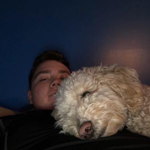 Meet your Posher, Logan